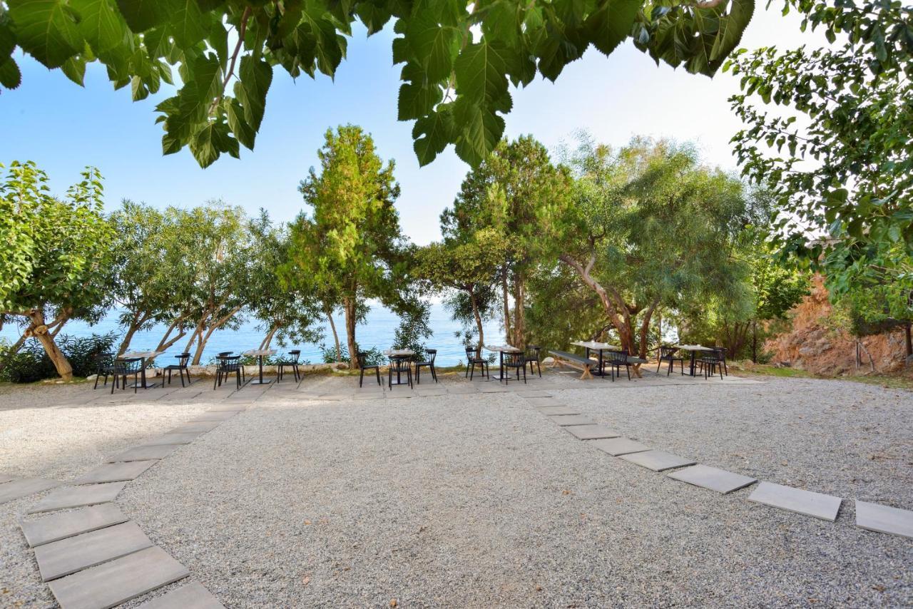 Ilingas Mare Aparthotel Hora Sfakion Exterior photo